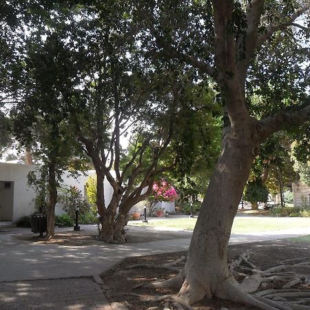 Almog Kibbutz Hotel エクステリア 写真