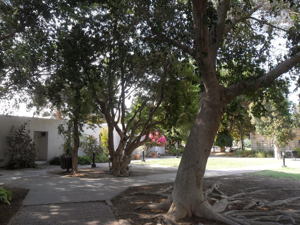 Almog Kibbutz Hotel エクステリア 写真