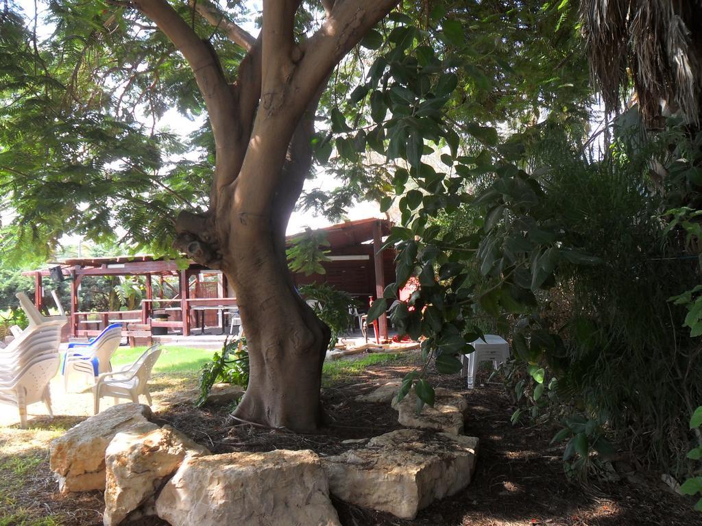 Almog Kibbutz Hotel エクステリア 写真
